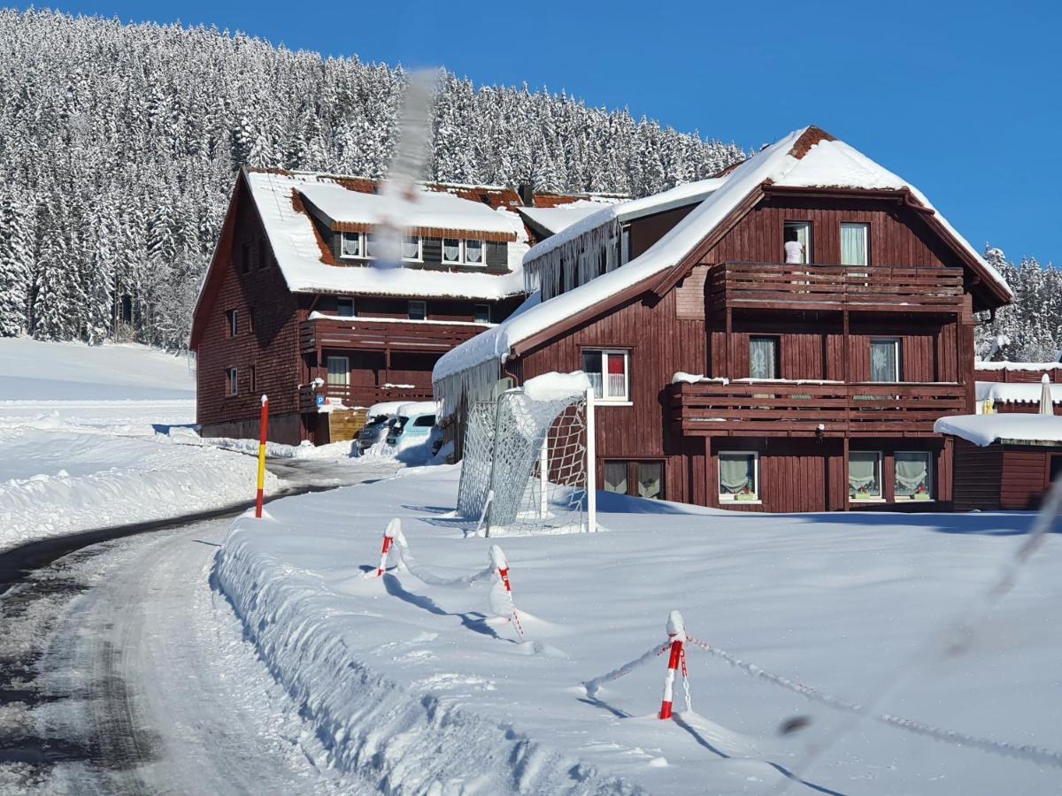 B Und B Titisee Hotel Sonnenmatte Nahe Badeparadies エクステリア 写真